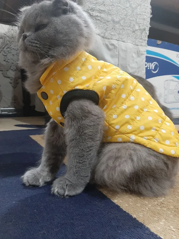 ўғил 1 ёш