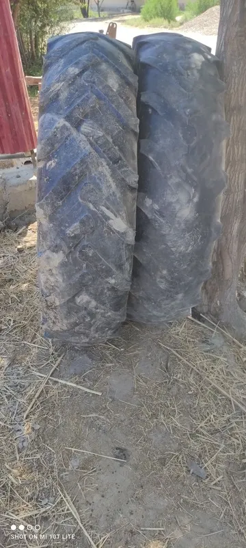 Traktor ballonlari sotilad 1