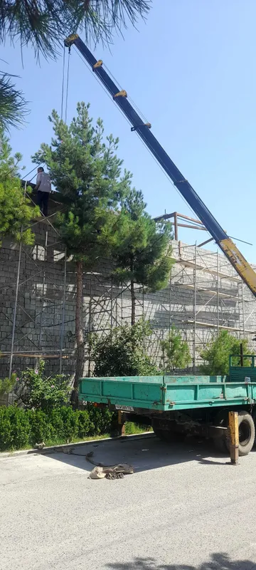 Manipuliyator xizmati 24/7 2 Manipuliyator xizmati 24/7 2