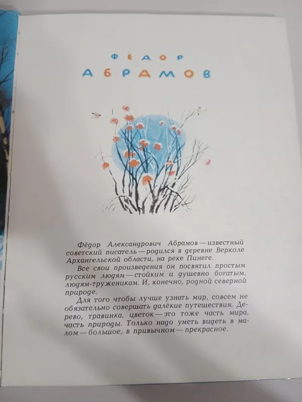 Книга где лето с зимою встречаются в идеальном состоянии — фото 1