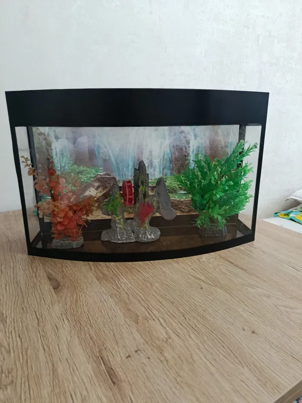 Akvarium