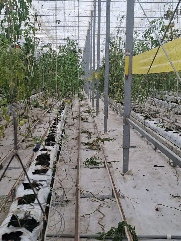 Срочно Продается Земля Кушкунда 16 Гектаров — фото 6