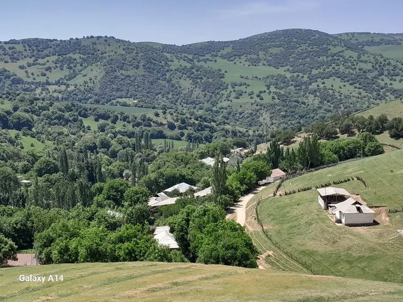 Галавасой паселкаси Тогизкол кучаси 8 чи уй котта ховли уй 24 сотик — фото 1