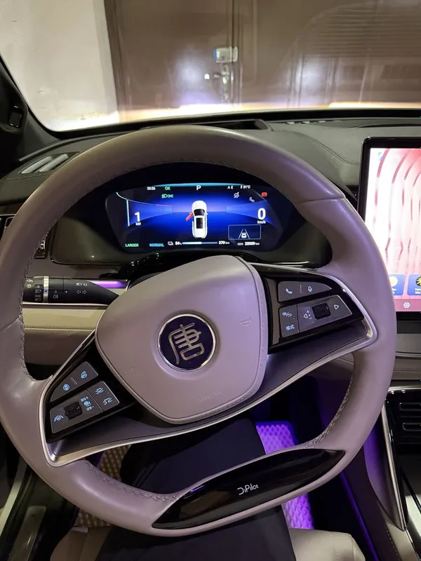 BYD Tang 730km 2024 8