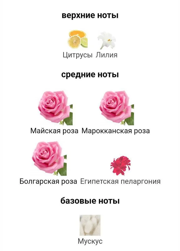 Dolce & Cabbana velvet Rose 50ml — фото 5