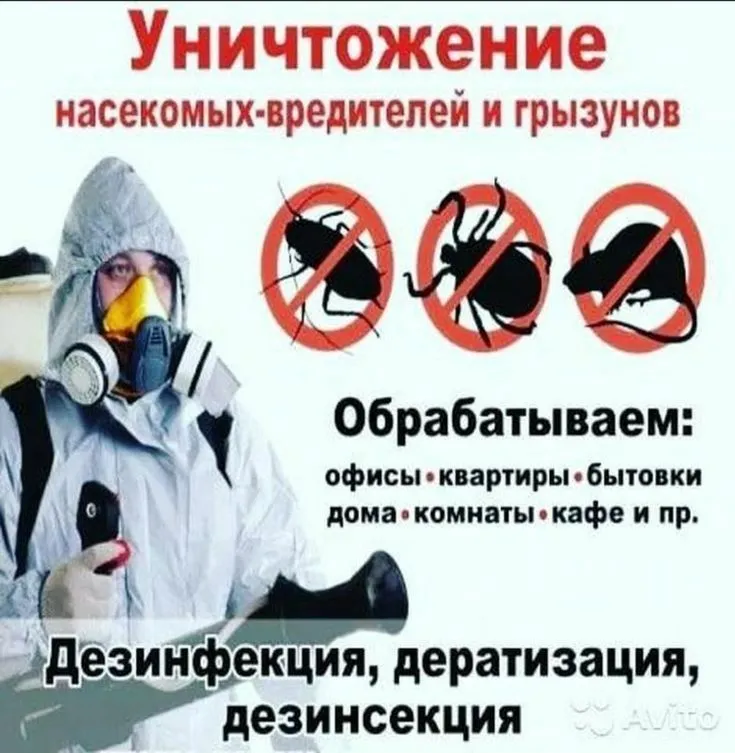 Услуги дезифекции . Дезинфекция хизмати сифатли ва ишончли. 1 Услуги дезифекции . Дезинфекция хизмати сифатли ва ишончли. 1