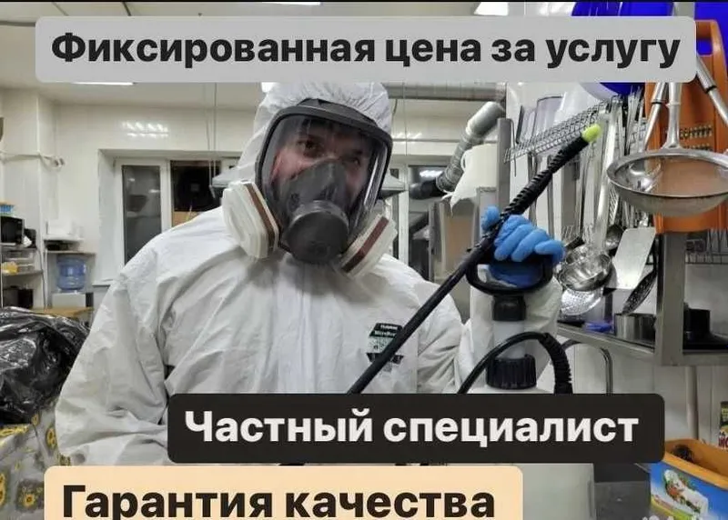 Dezinfeksiya klop klapa Дезинфекция от клопов клапа мышей таракан клоп