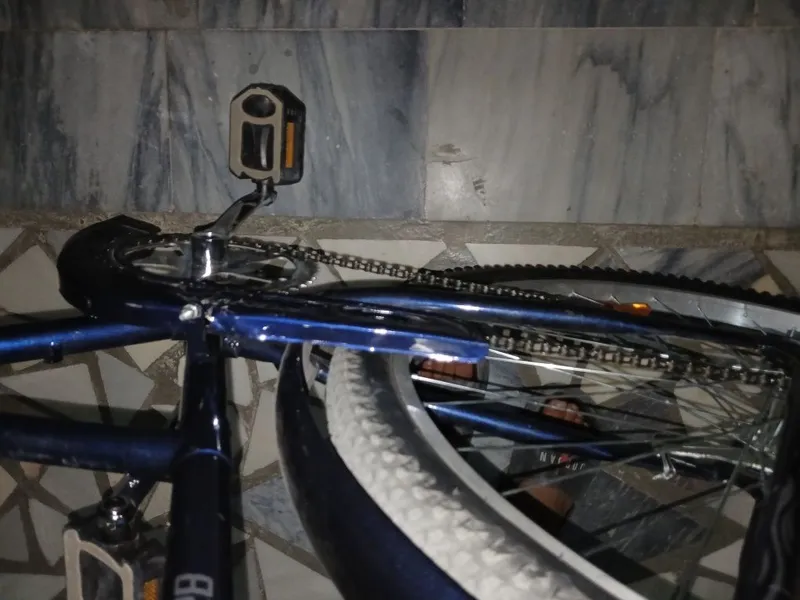 Velosiped "Bonvi" 7
