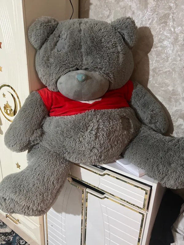 Teddiy ayiq narxi 600 ming keliwiladi