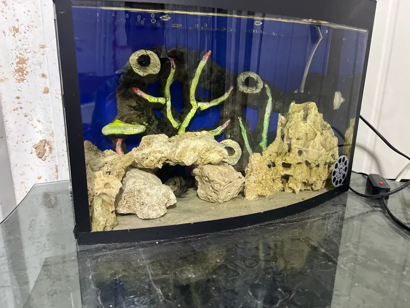 Akvarium sotiladi 2
