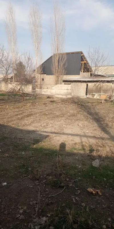 Буш ер