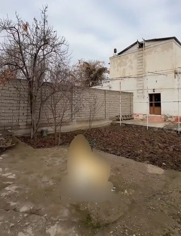 Hovli sentrdan sotiladi 10 Hovli sentrdan sotiladi 10
