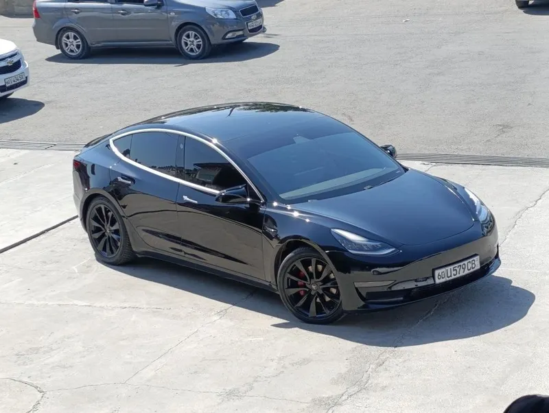 Tesla model 3 2019 2