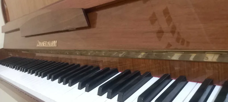 Немис пианиноси ZIMMERMANN