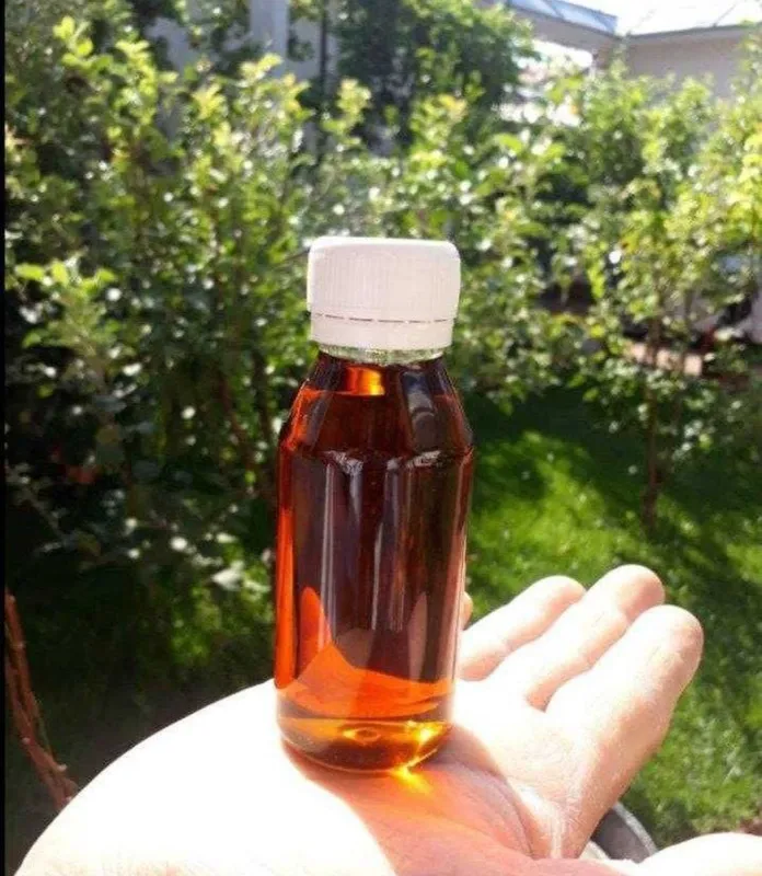 Qovoq yogʻi Ковок ёги (месний)