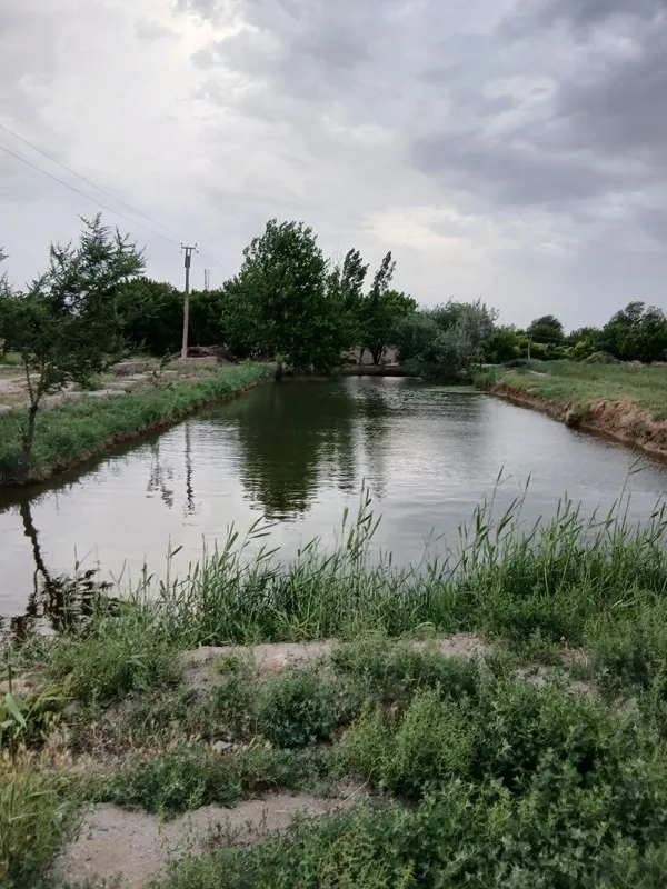 Gaz sivet bor wife internet hammasi bor — фото 5