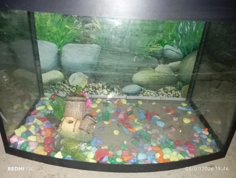 akvarium 1
