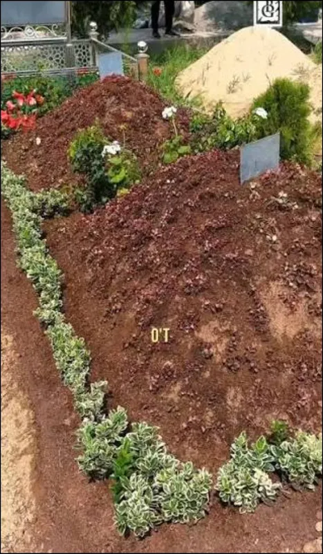 Gul ekish xizmati 2 Gul ekish xizmati 2