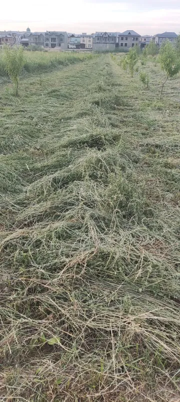 beda pres sotiladi, toza beda toshkenda beda pres sotiladi, toza beda toshkenda