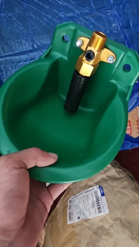 Qoylar uchun poika 1