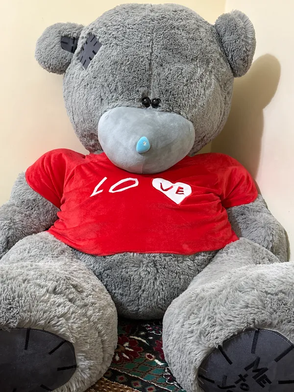 Срочно продаётся кот Teddy, цена ещё обсуждается Срочно продаётся кот Teddy, цена ещё обсуждается