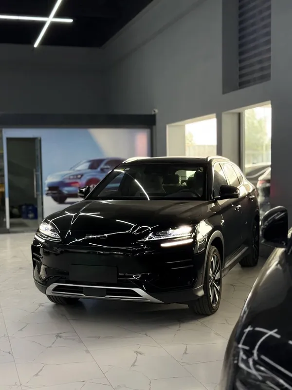 Byd chempion smart — фото 2