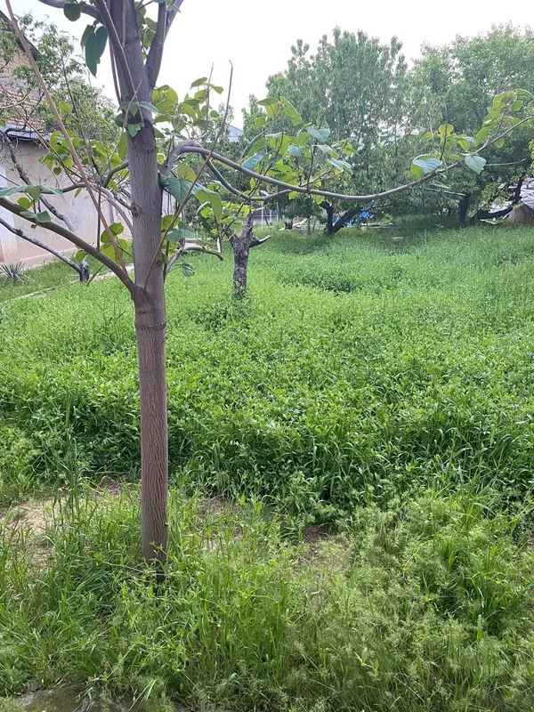 Продается земля 8 соток срочно