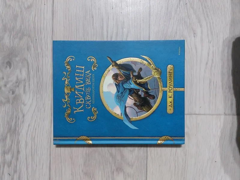 Книга гарри поттер квидичь