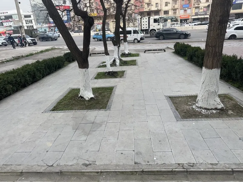 Сдаётся 80м2,цоколь (паркентский)