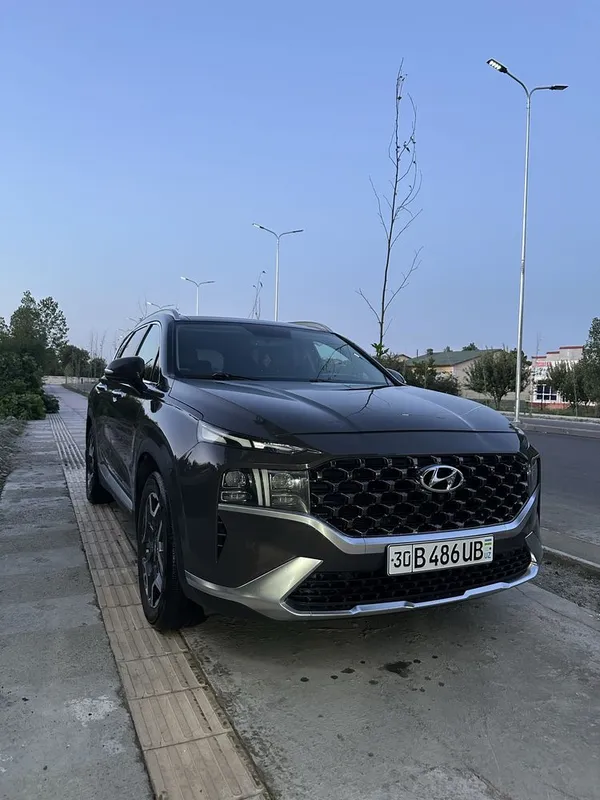 Santafe Eng fulli 2.5 8