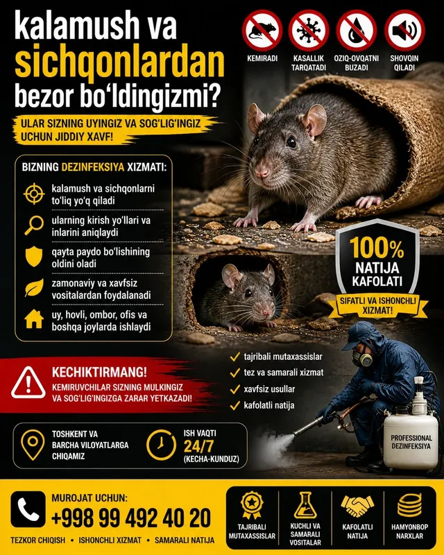 Dezinfeksiya kalamush Dezinfeksiya sichqon