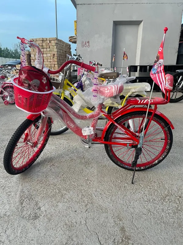 Velosiped Princess model-20