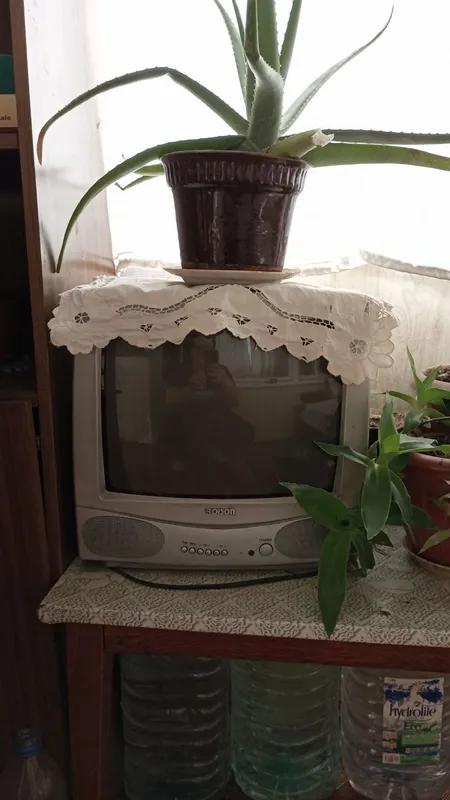 телевизор ройсон
