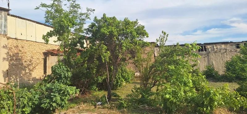 Eskishahar Mirsaid Bahrom ko'chasida hovli sotiladi — фото 2