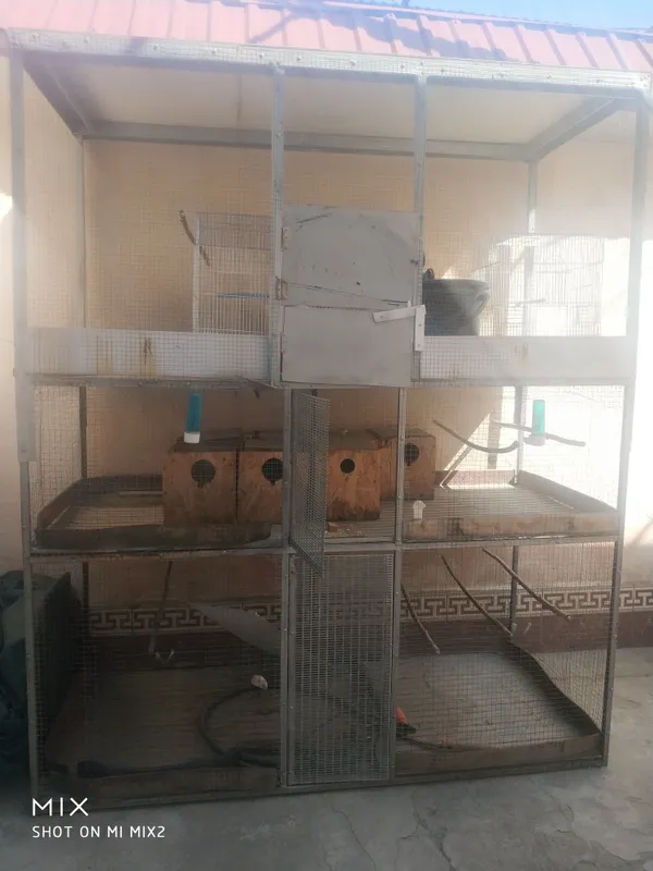 Qushlarga qafas 3 etajlik