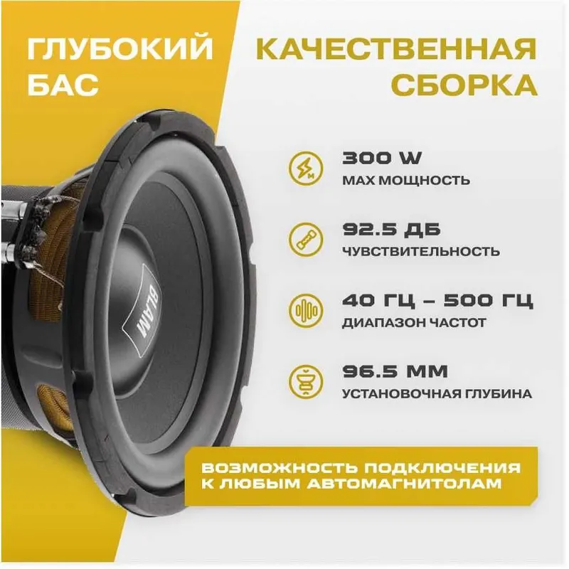 Сабвуфер Blam R8EL (8 дюймов) — Состояние нового!