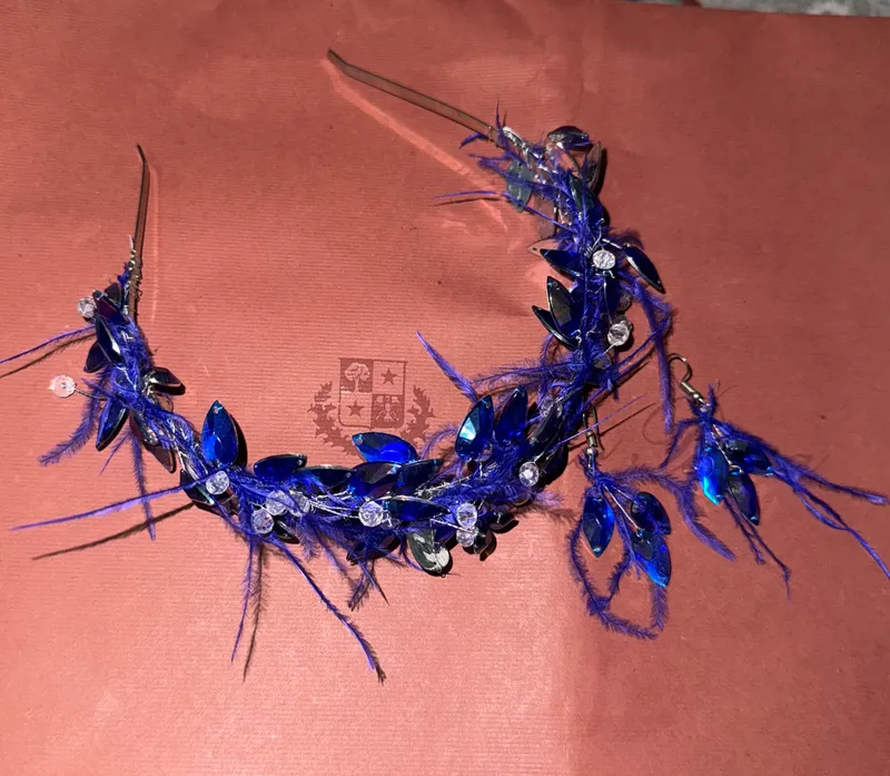 Diadema ziregi bn yengi 1 Diadema ziregi bn yengi 1