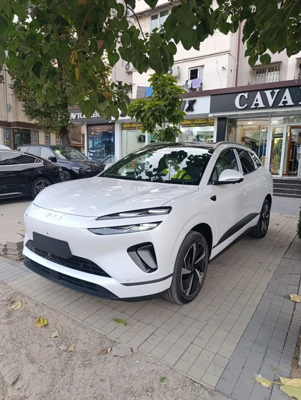 Byd qin 2025йил натариусга тайер