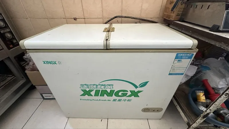 XINGX sandiqsimon muzlatgich (Freezer) 2 XINGX sandiqsimon muzlatgich (Freezer) 2