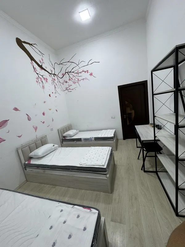 Hostel/arzon mehmonxona/xostel kunlik