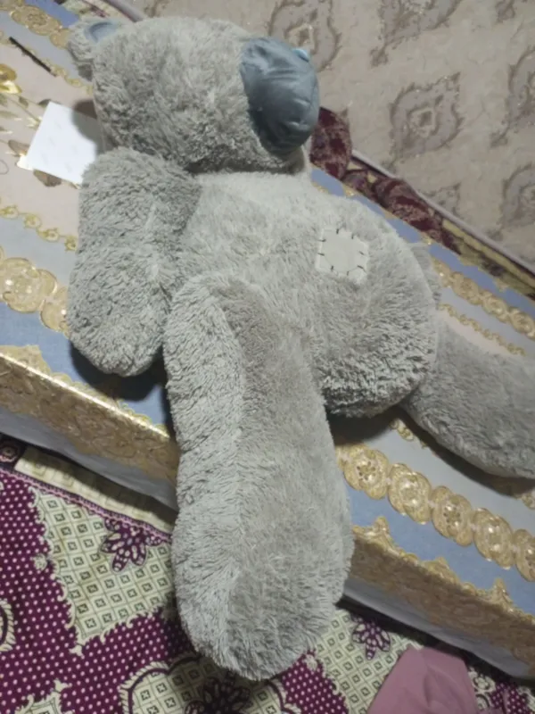 katta tedy ayiq 1
