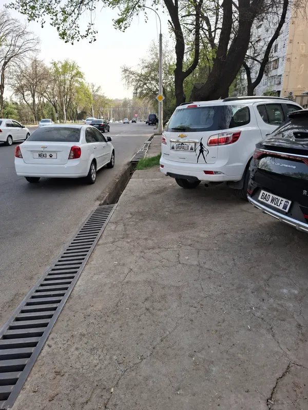 Chevrolet Trailblazer LTZ 3.6 — 2020-yil, 18 000 3 Chevrolet Trailblazer LTZ 3.6 — 2020-yil, 18 000 3