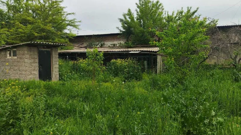 Земельный участок — фото 5
