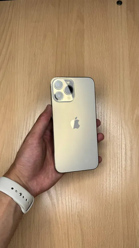 iPhone 13 Pro Max