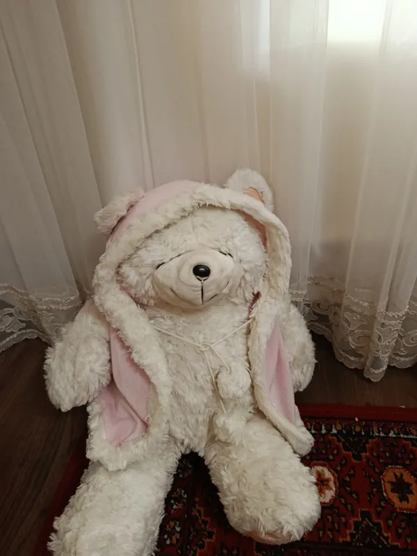 Yaponski oq teddy 1 Yaponski oq teddy 1