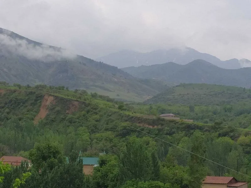 сдается дача в Кумушкане