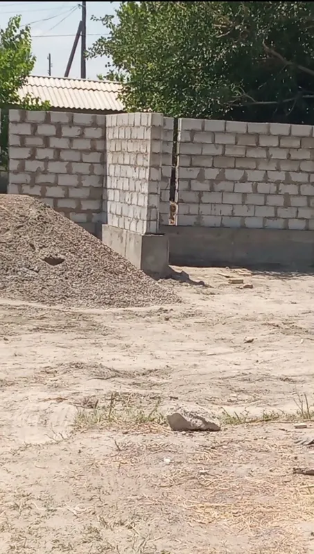 Продаётся Дом Дача — фото 2