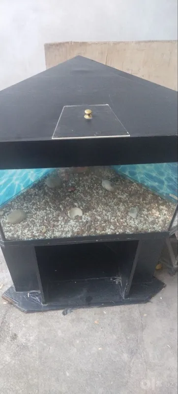 Угловой аквариум 2 Угловой аквариум 2
