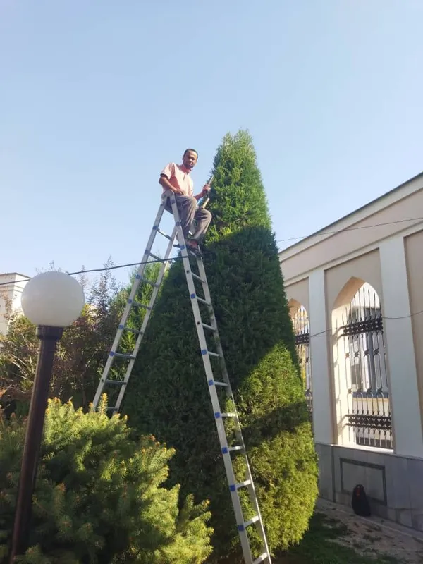 Арча кесиш Archa kesish Dorilash Daraxt ikkish xizmati Bogʻbon — фото 7