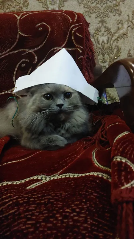 Ot seks bilan porno massaj Televizorning pulti bilan jojaning sikishini onlayn tomosha qiling